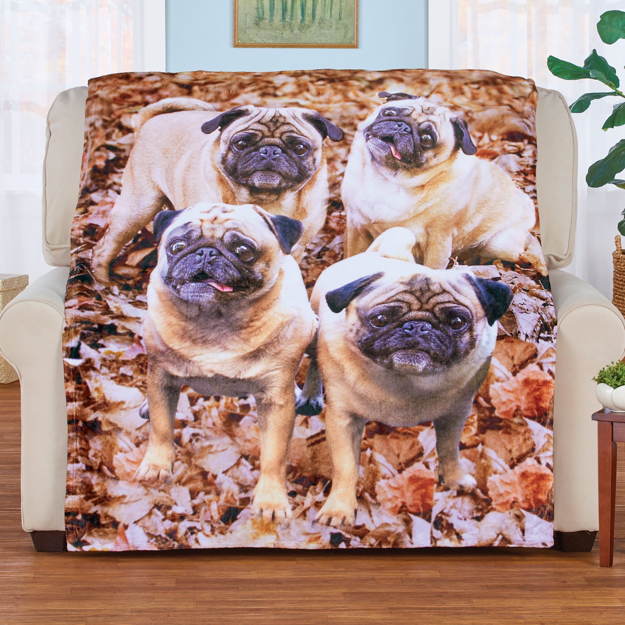 Cozy dog blanket clearance