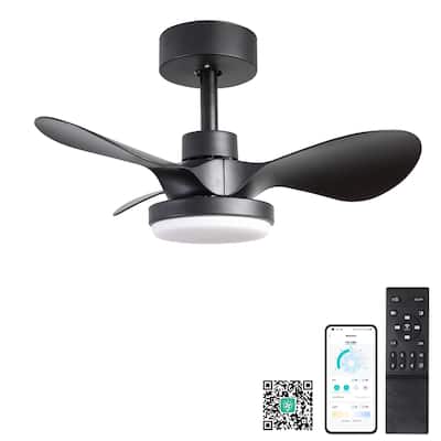 24 inch Small Ceiling Fan with Light Remote 6 Speed Quiet Reversible DC Motor Low Profile Black
