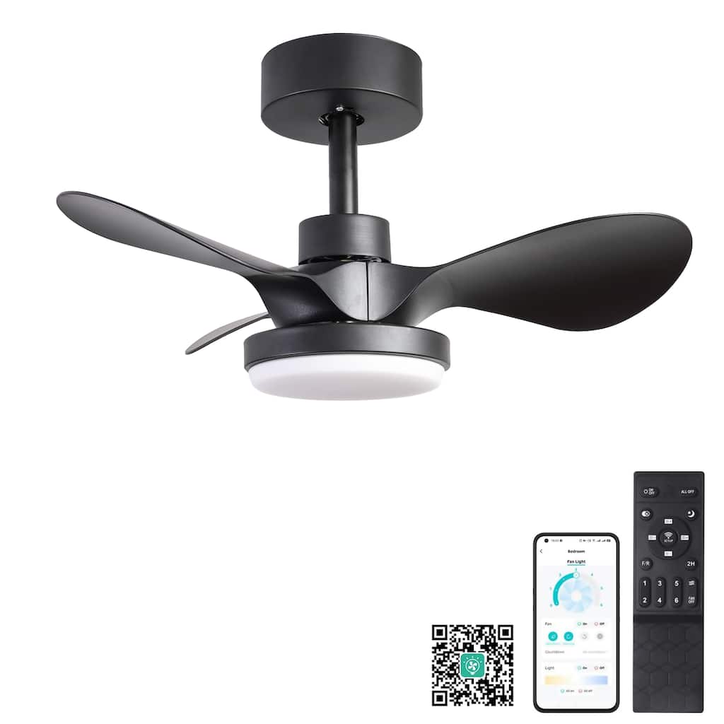 24 inch Small Ceiling Fan with Light Remote 6 Speed Quiet Reversible DC Motor Low Profile Black