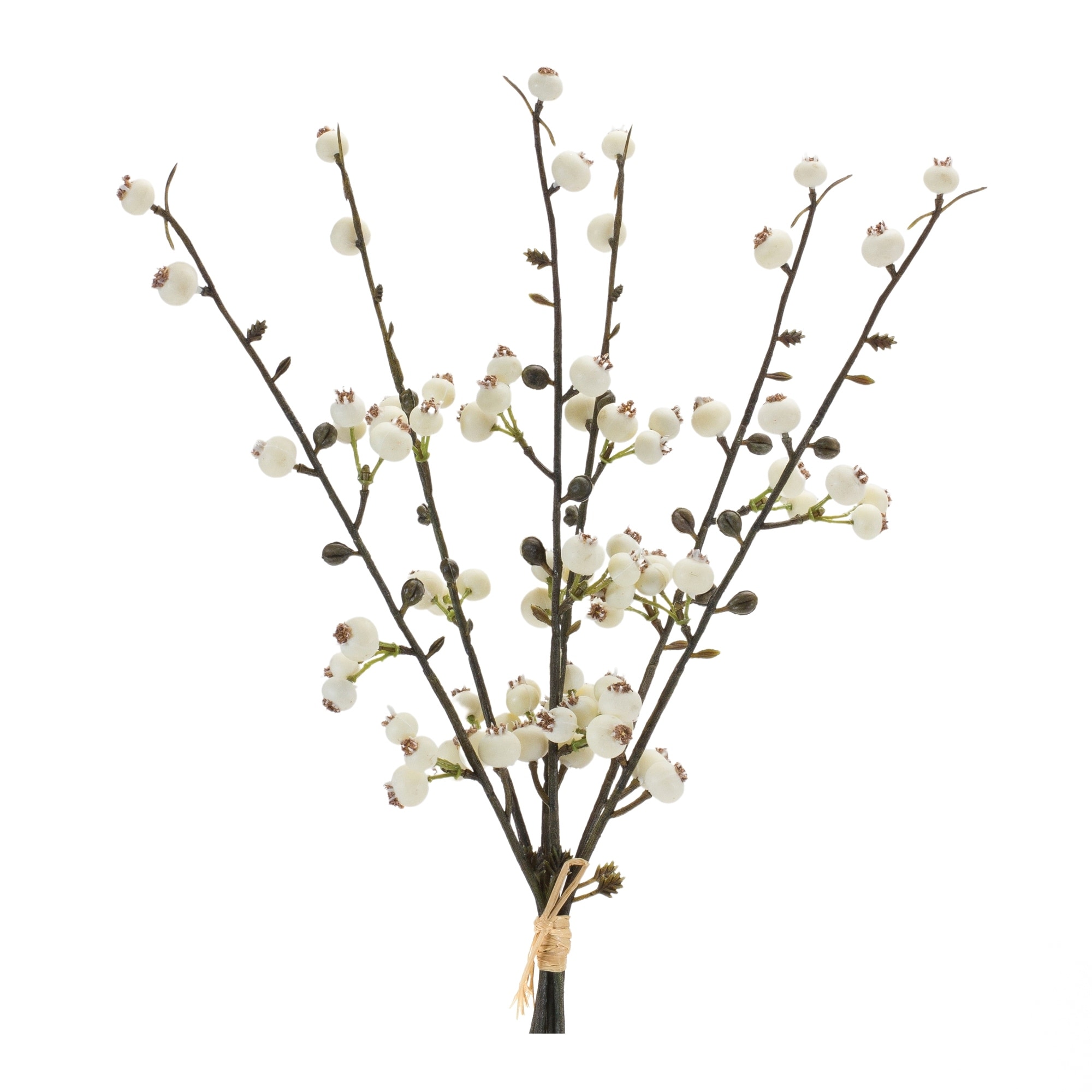 Winter Berry Twig Bundle (Set of 6) - Green