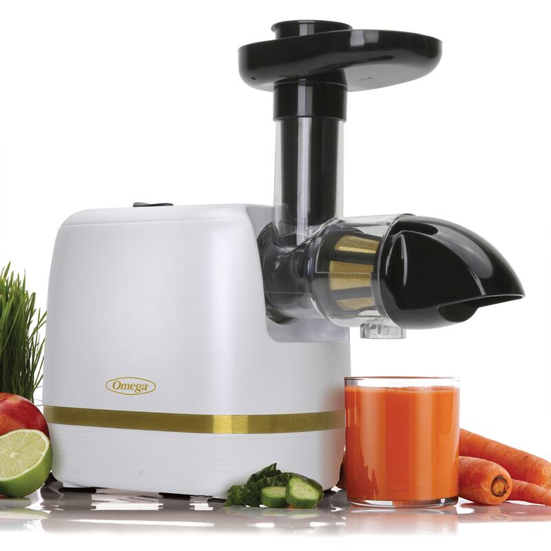Omega Cold Press 365 Compact Masticating Horizontal Juicer, 150W Low