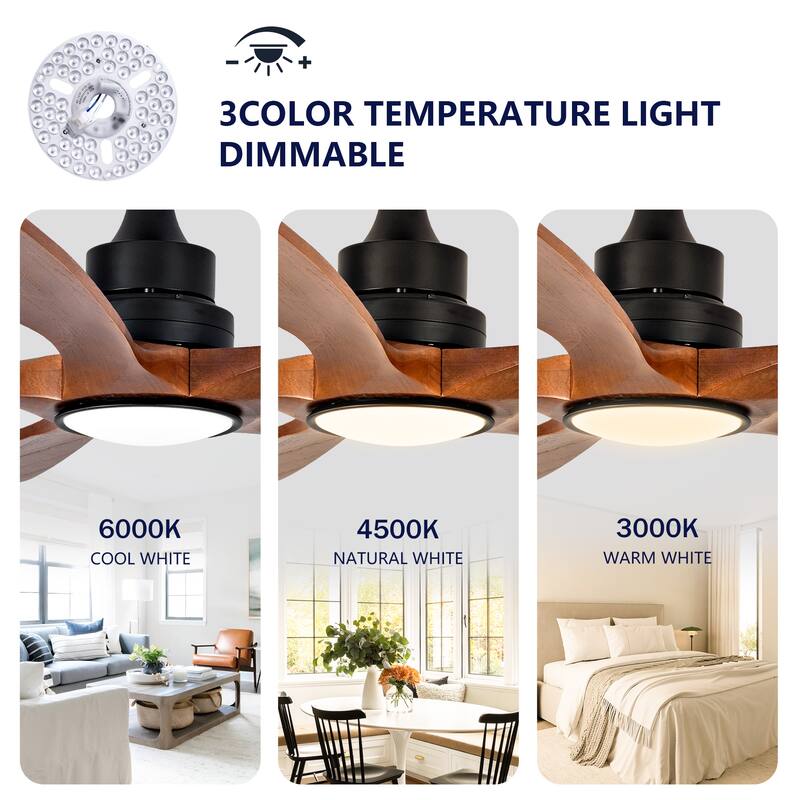 52" Ceiling Fans with Lights and Remote, Noiseless Reversible DC Motor