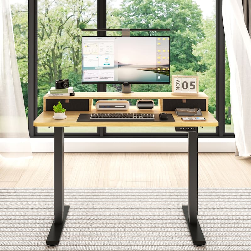 FlexiSpot 48"x24"/55"x24" Ergonomic Height Adjustable Standing Desk with 2 Drawers, Monitor Stand Computer Desk