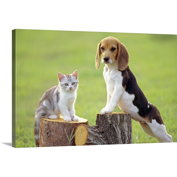 Shop Beagle And Cat Canvas Wall Art Overstock 16284672