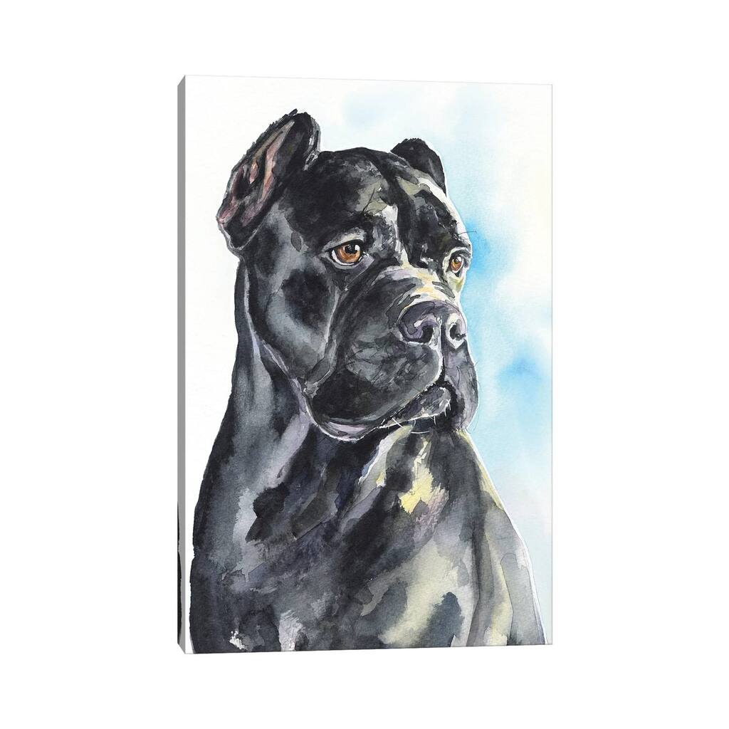 iCanvas "Cane Corso" by George Dyachenko Canvas Print