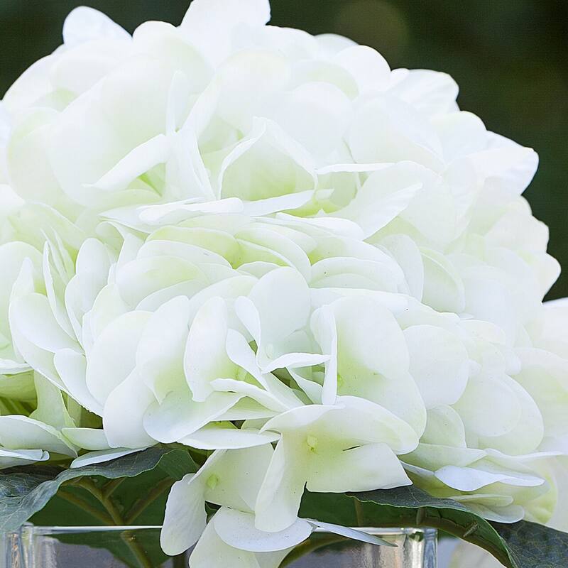 Enova Home Artificial Real Touch Hydrangea Fake Silk Flowers Arrangement in Cube Glass Vase With Faux Water For Home Decoration