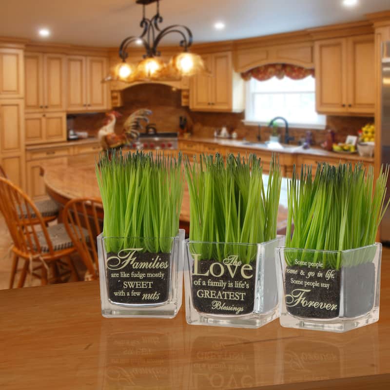 National Tree Company 'Family' Printed Square Glass Pot with Artificial Grass (Set of 3)