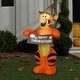 preview thumbnail 1 of 0, Airblown-Harvest Tigger-SM-Disney