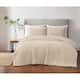 Option Ivory