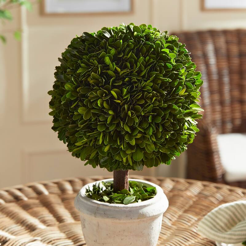Boxwood Single 9" Ball Topiary In Pot - Green