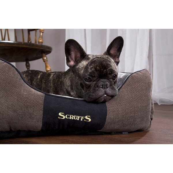 scruffs chester dog bed