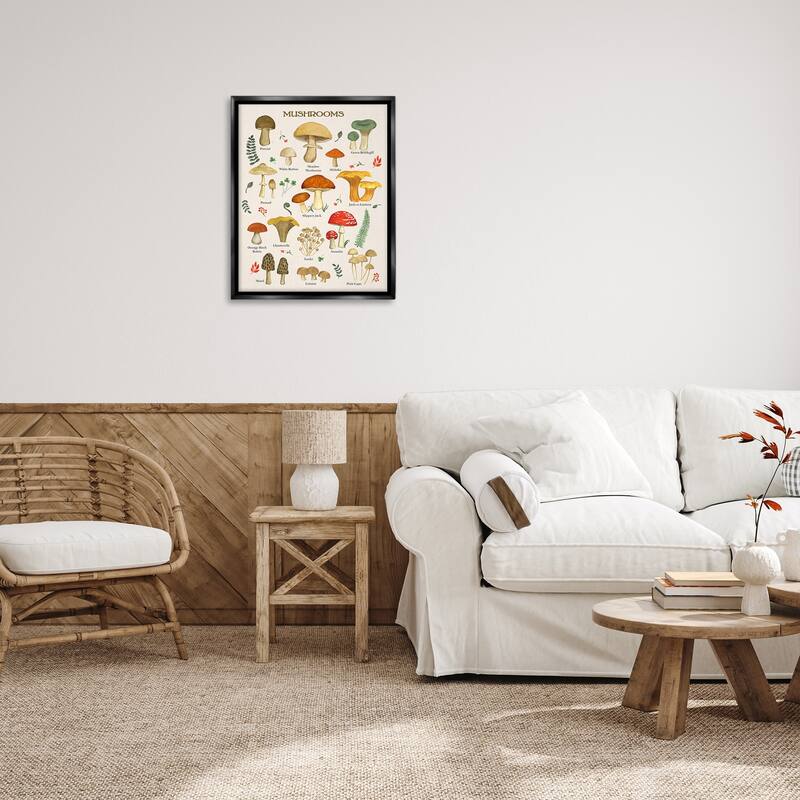 Stupell Foraging Mushrooms Studies Framed Floater Canvas Wall Art Design by Sharon Lee
