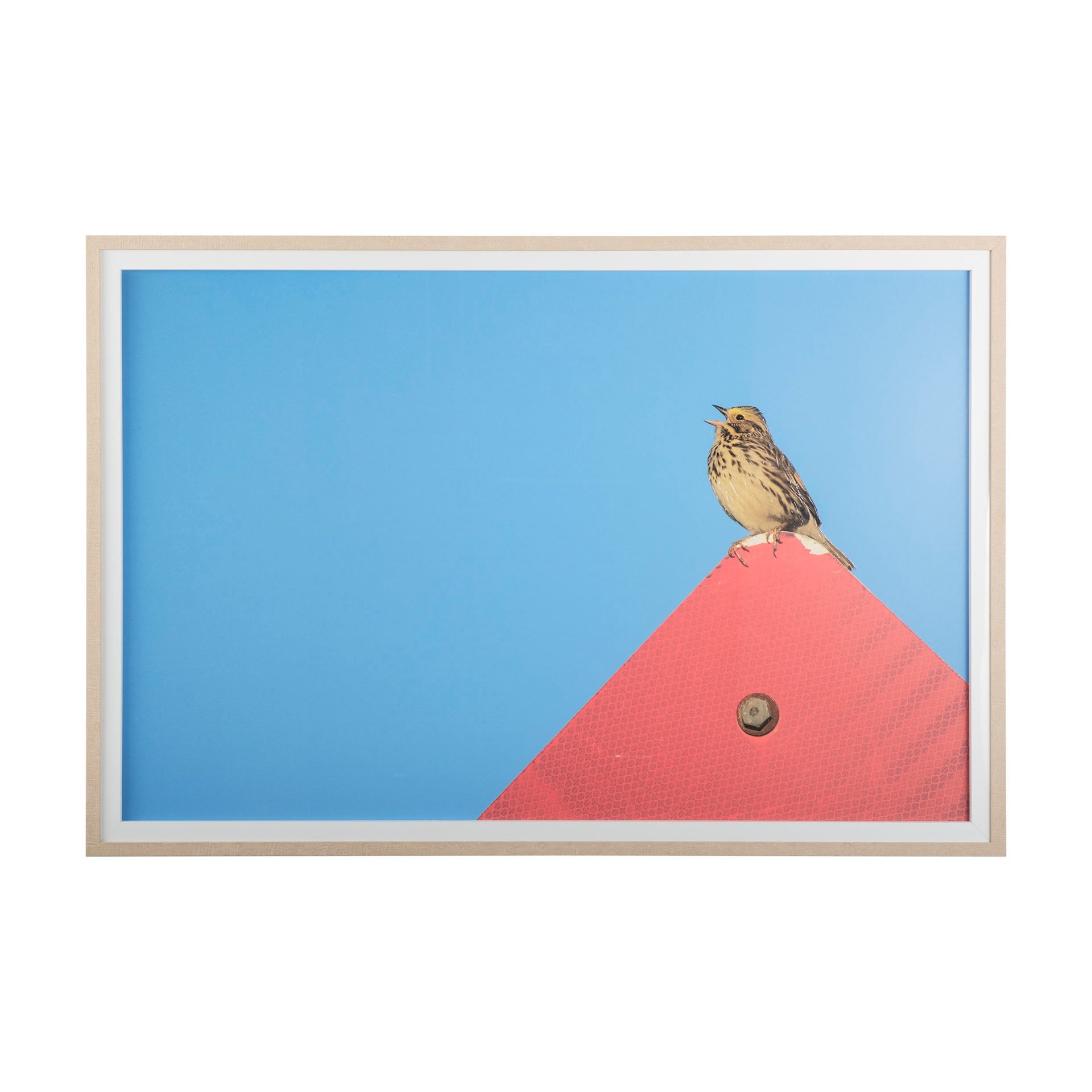 Morning Song by Mercana Studio a Hand Embellished Textured Framed Photo Art Print Matted under Glass