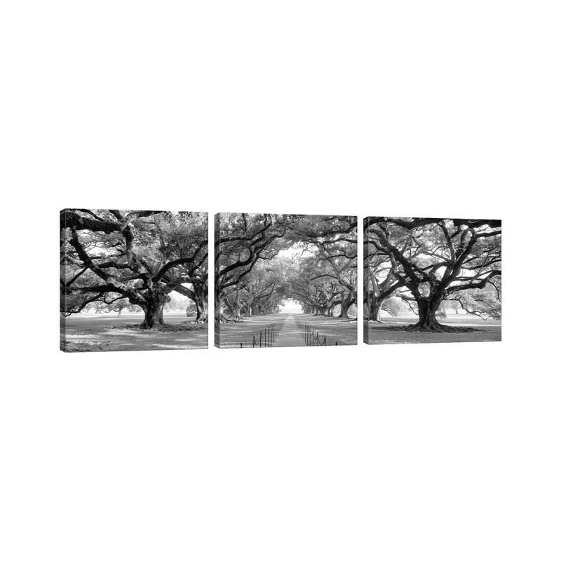 iCanvas "Brick Path Through Alley Of Oak Trees, New Orleans (B&W) II" by Panoramic Images 3-Piece Canvas Wall Art Set