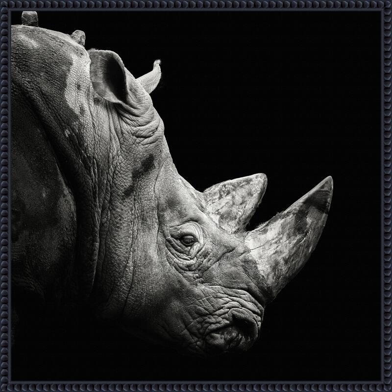 Rhino by Christian Meermann Framed Canvas Wall Art Print