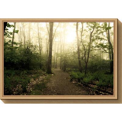 Canvas Art Framed 'Appalachian Trail' by Andy Magee