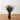 Glitzhome 39"H Potted Artificial Spiked Agave Tree With Real Touch - 25.5"D x 39.25"H