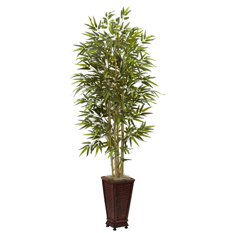 Bamboo Tree 6ft Indoor Accent Plant with Planter - Home Office Decor - 6ft.