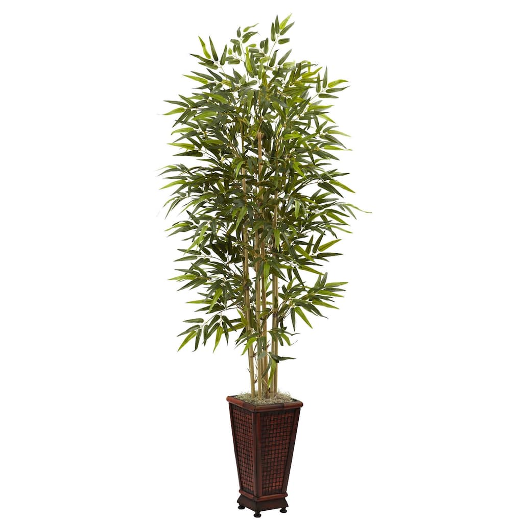 Bamboo Tree 6ft Indoor Accent Plant with Planter - Home Office Decor - 6ft.