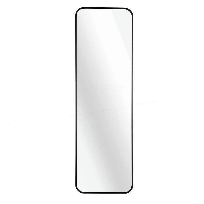 47 x 14IN Door mirror