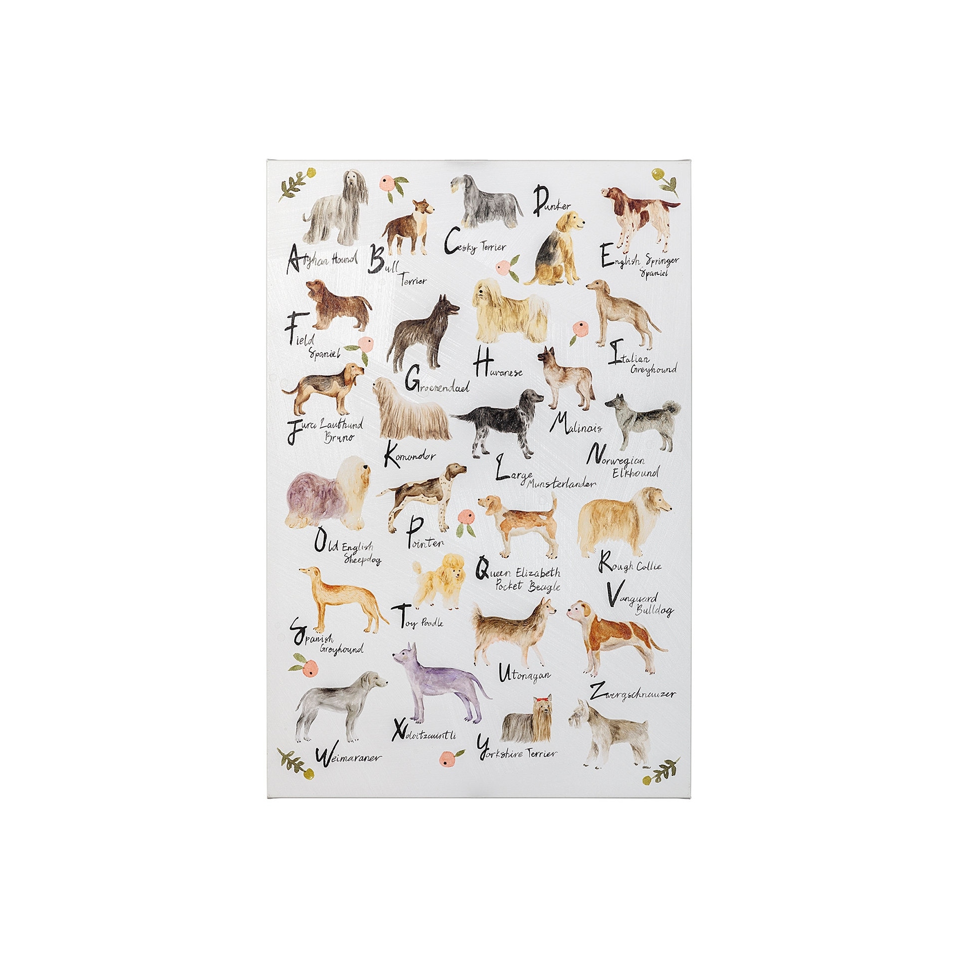 dog breed alphabet poster