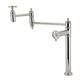 Option Polished Nickel