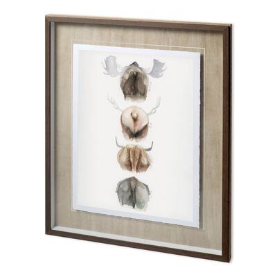 Horn & Tail Study I Framed Art Print