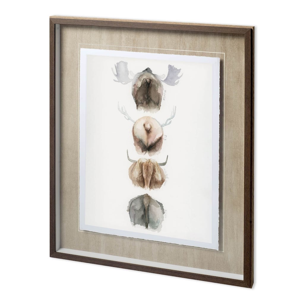 Horn & Tail Study I Framed Art Print