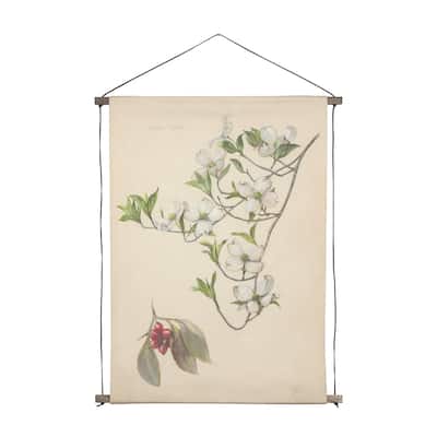 Botanical Study-Cornus Florida