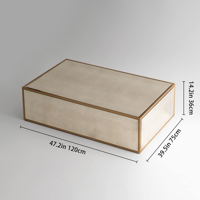 Modern Rectangular Coffee Table