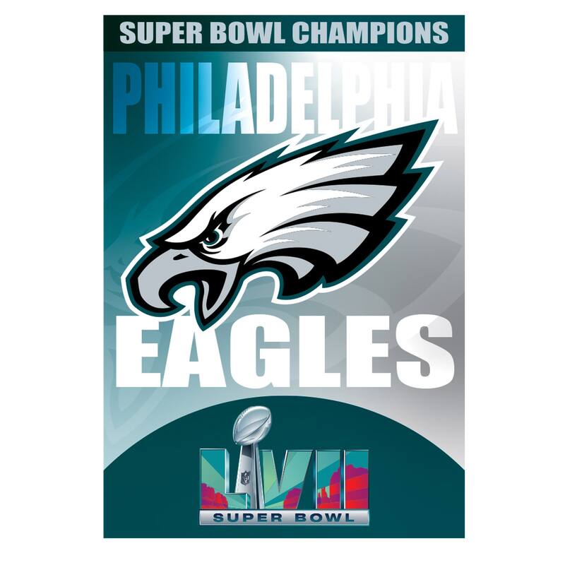 Embossed Suede Flag, House Size, Philadelphia Eagles
