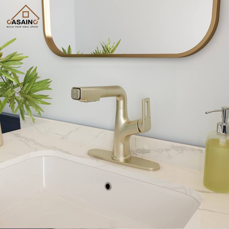 Single Handle Pull Out Sprayer Kitchen Faucet with Advanced Spray