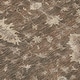 preview thumbnail 68 of 118, Machine Washable Indoor/ Outdoor Traditional Chantille Rug