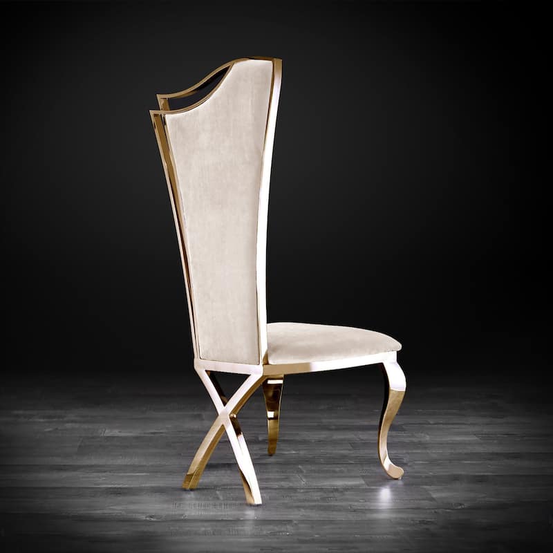 Belladonna Titanium Gold Stainless Steel Dining Chair, Set of 2