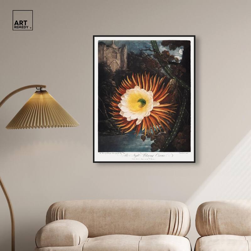 Night-Blowing Cereus 1807 Canvas by Art Remedy