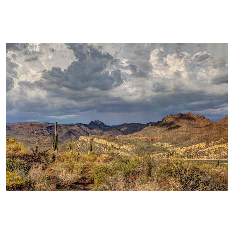 Stormy Dessert by Robert Murray Canvas Art Print