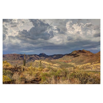 Stormy Dessert by Robert Murray Canvas Art Print
