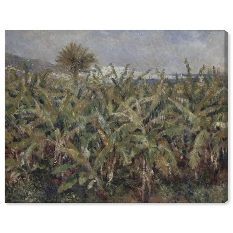 Field of Banana Trees Canvas by Art Remedy, Gallery Wrapped - 36" x 30"