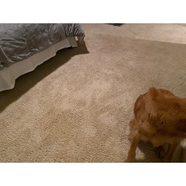 what kind of dog is in the bissell commercial