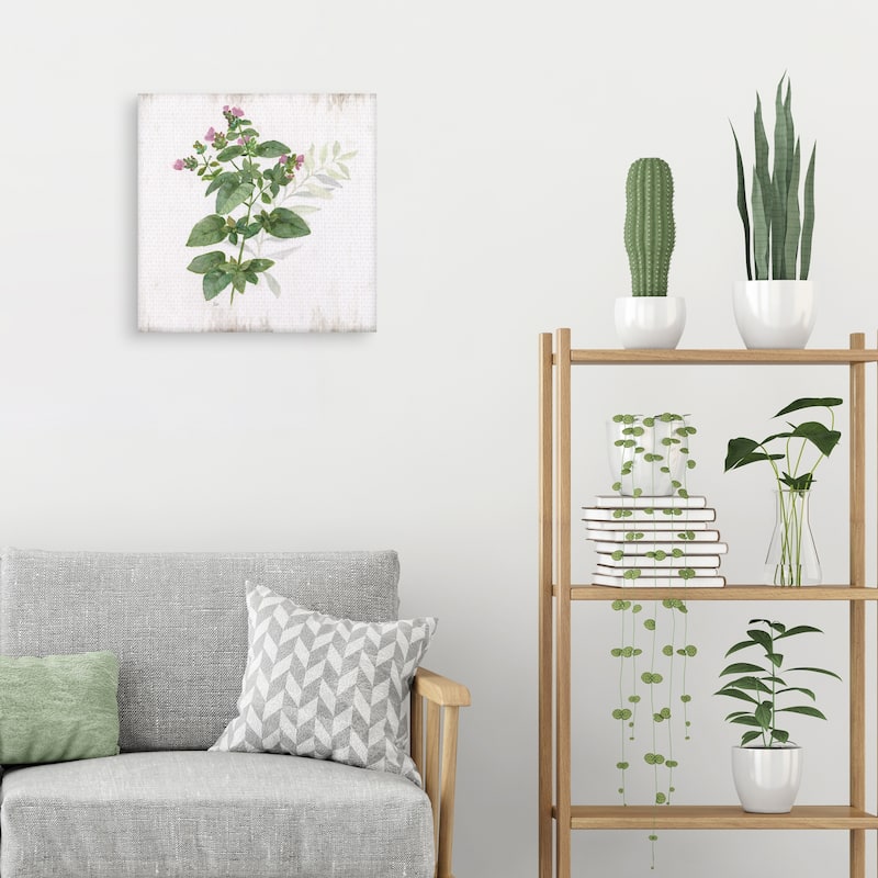 Kitchen Garden I by Nan Canvas Art Print