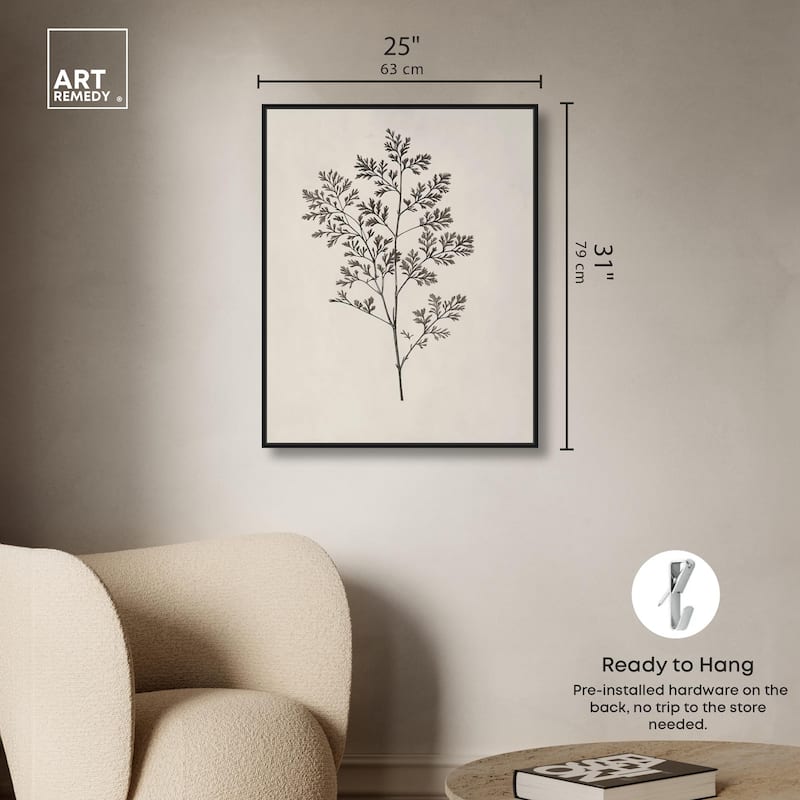 Aniseed Anatomy II Canvas Delicate Floral by Art Remedy