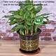 preview thumbnail 5 of 3, Self-Watering Bulb 80mm Dia. PVC Automatic Plants Watering Globe Green