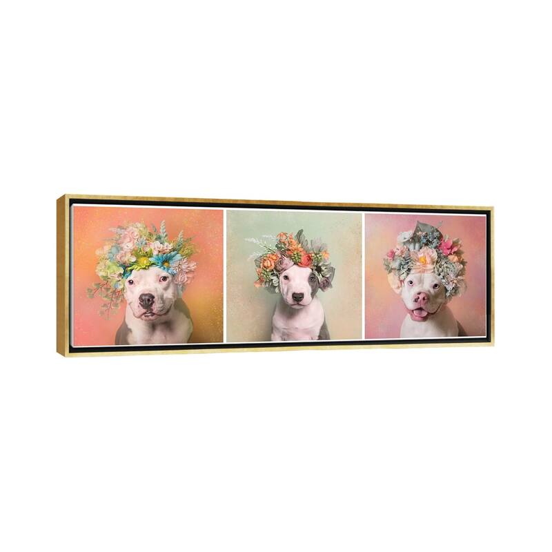 iCanvas "Pit Bull Flower Power, Lucy, Treasure And Rain" by Sophie Gamand Framed Canvas Print - 16x48 - Gold