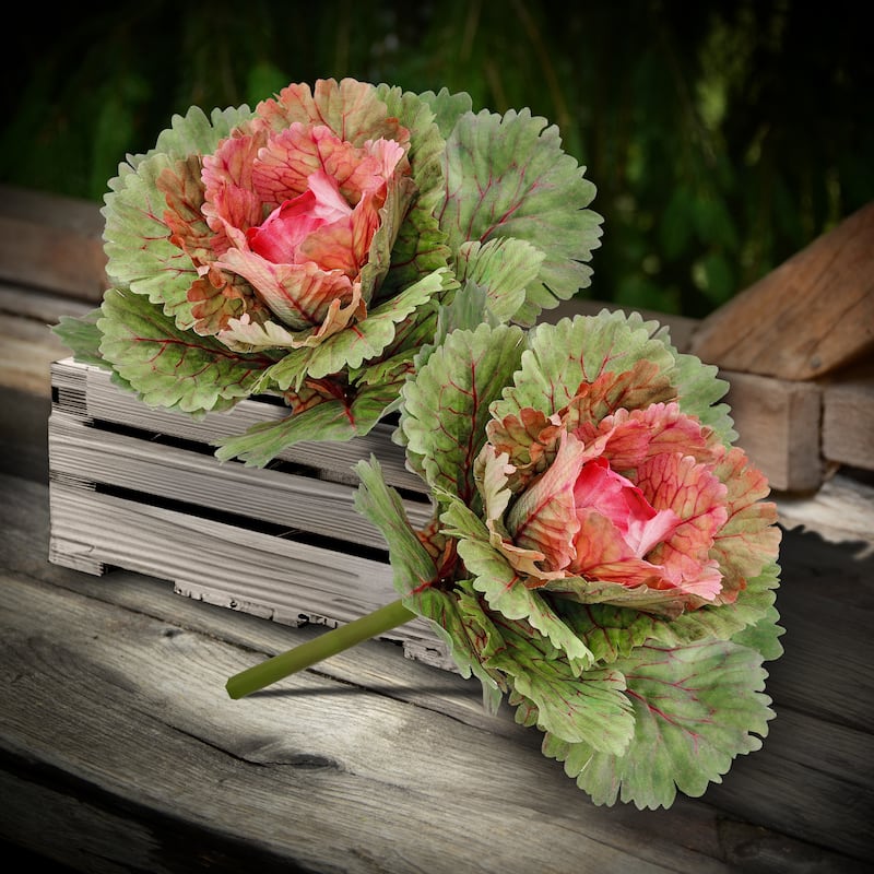 Kale Pick 7.25" - Pink