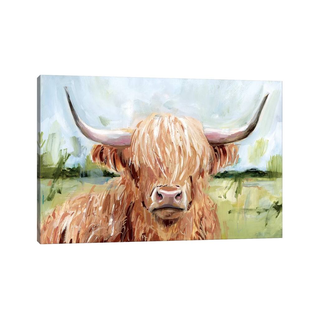iCanvas "Highland Grazer II" by Victoria Borges Canvas Print