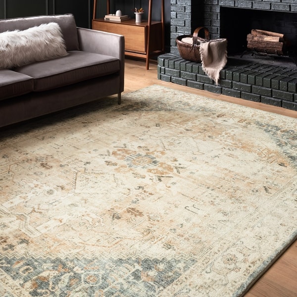 https://ak1.ostkcdn.com/images/products/is/images/direct/6bc468f49a0bb93fb6b6c0e3ba94e8b79fe65321/Alexander-Home-Juliet-Ultra-Soft-Distressed-Framed-Persian-Rug.jpg?impolicy=medium