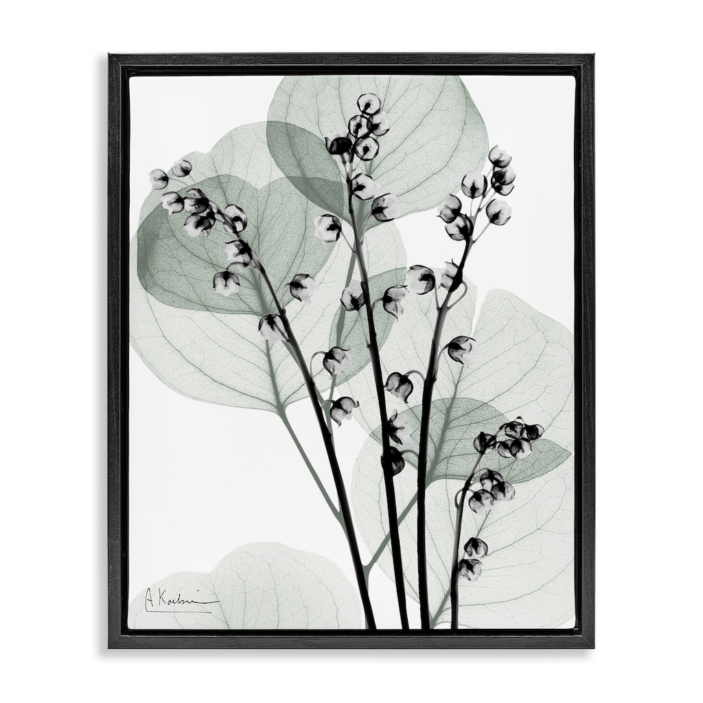 Stupell Fresh Minimalist Herbs Framed Floater Canvas Wall Art Design By Albert Koetsier