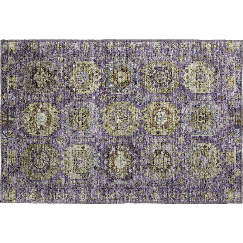 Premium Washable Super Soft Traditional Global Mayfield Rug