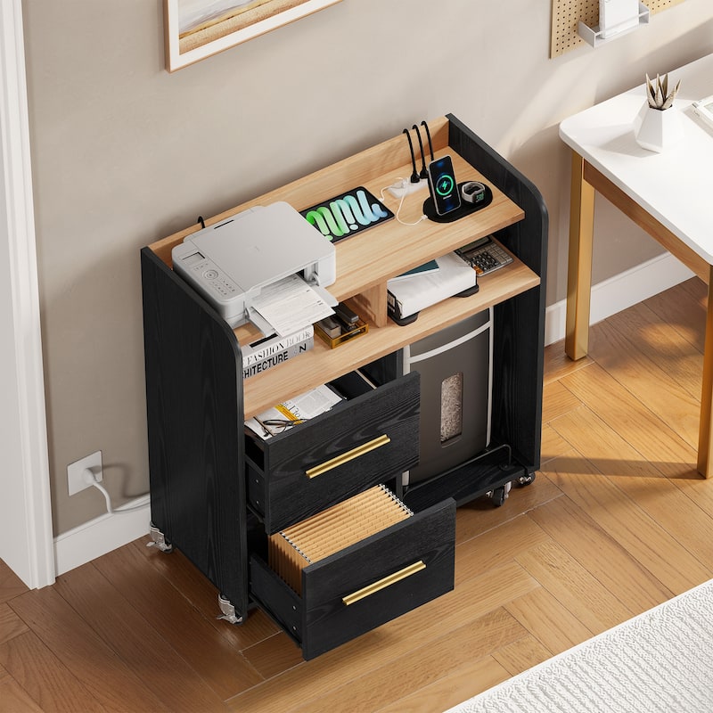 Moasis 2 Drawer Rolling File Cabinet with Printer Stand Cart for Home Office