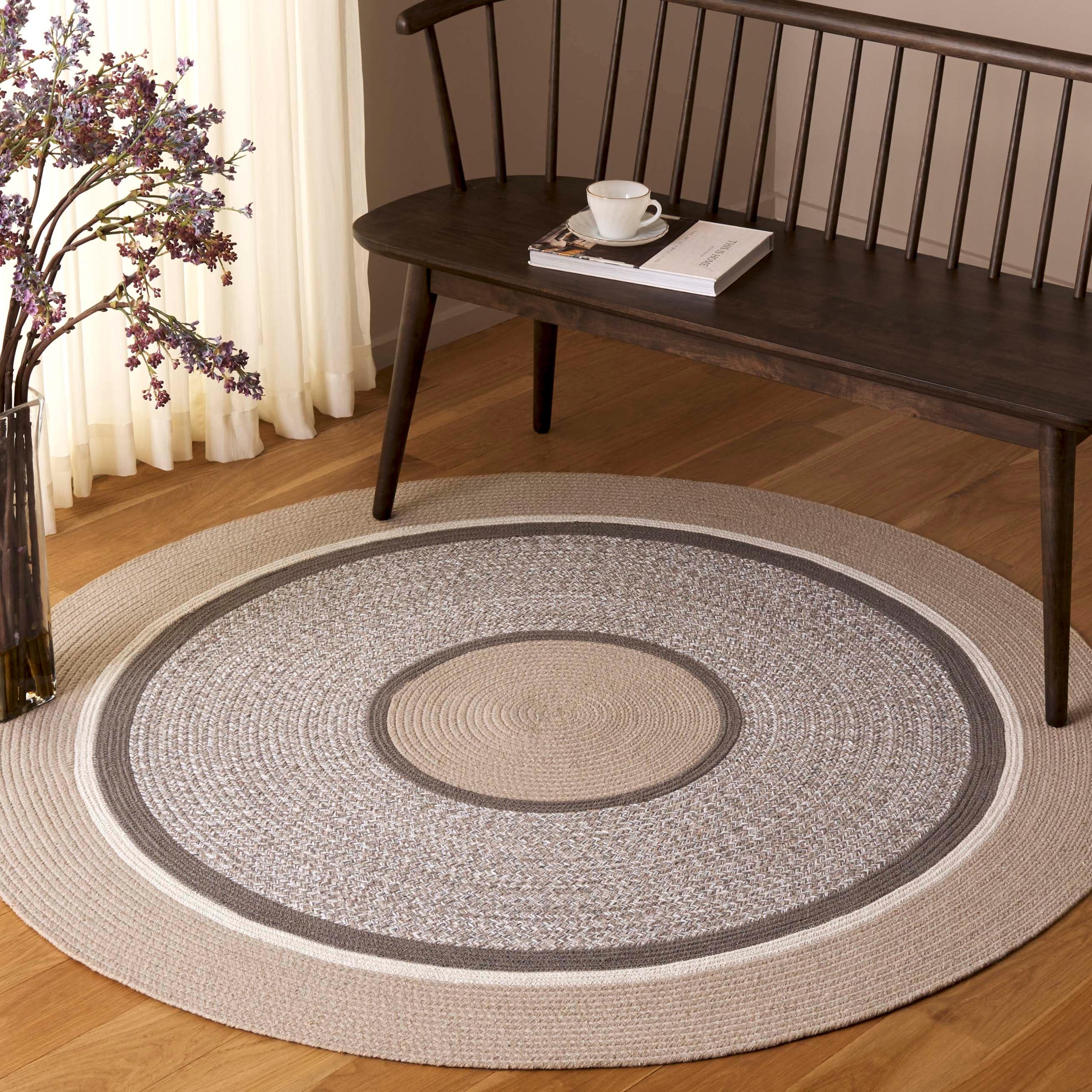 SAFAVIEH Flatweave Braided Leonilda Nautical & Coastal Cotton Rug
